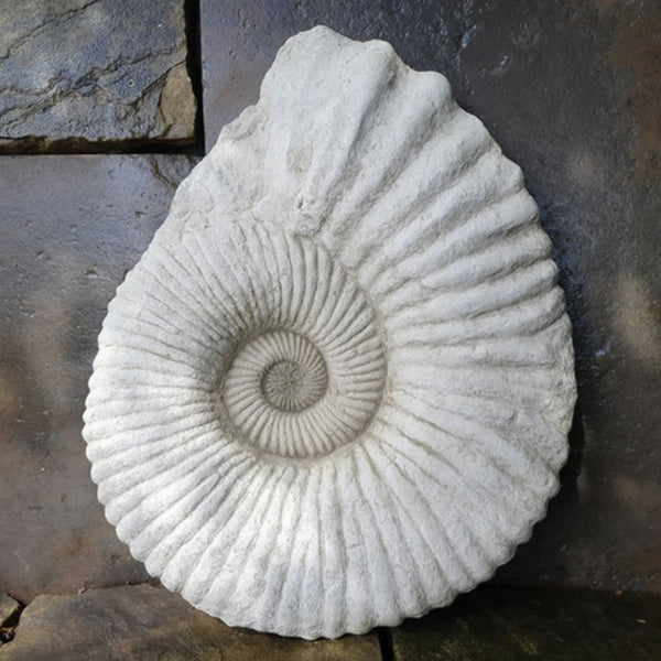 Stone Ammonite