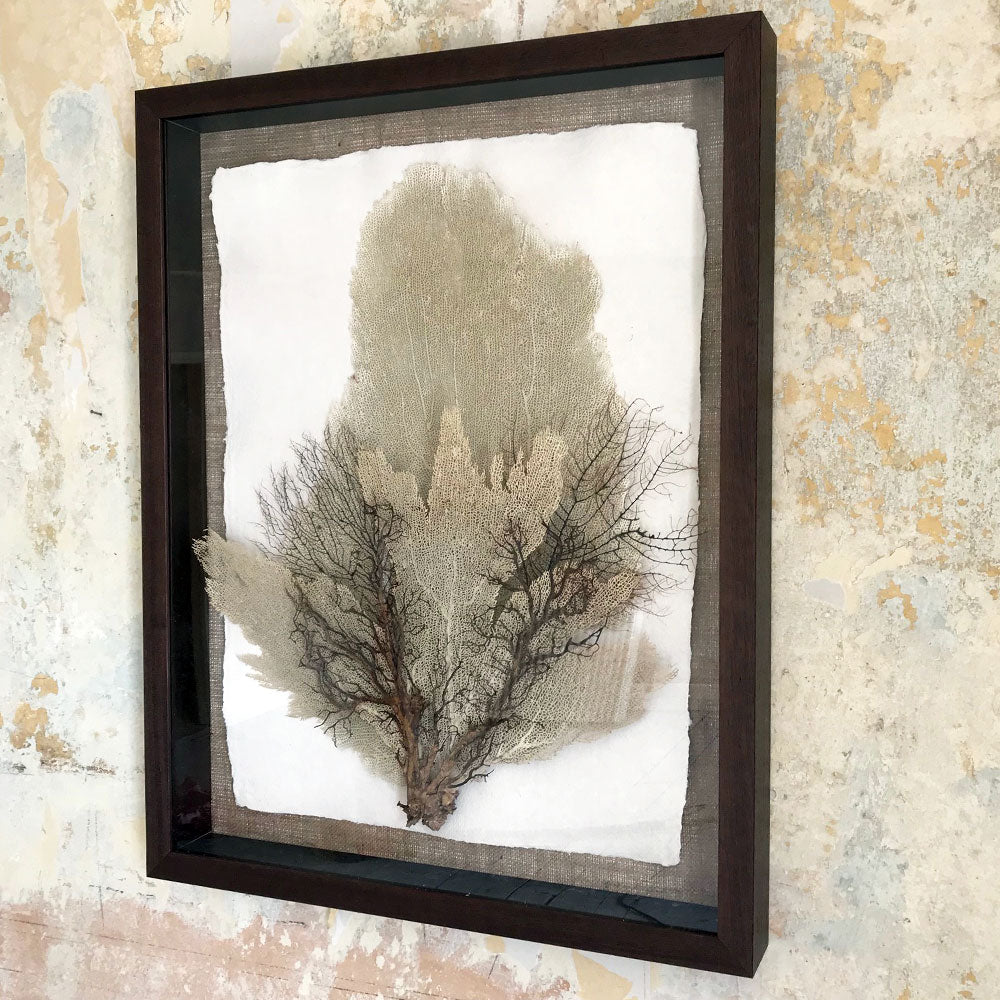 BARBUDA Framed Layered Seafans