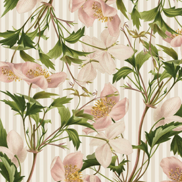 Pink floral Stripe Gift Wrap