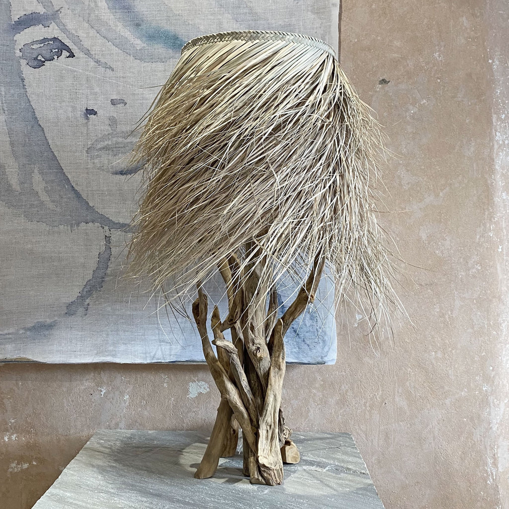 H55cm Branched Natural Driftwood Table Lamp