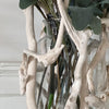 XL - Bleached  Driftwood Vase