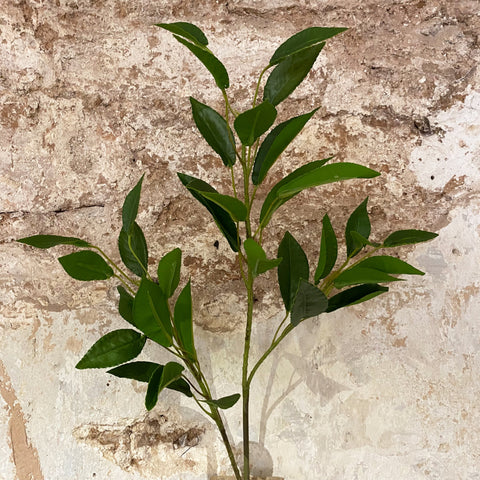 Faux Botanicals