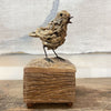Chirper Box Driftwood Sculpture