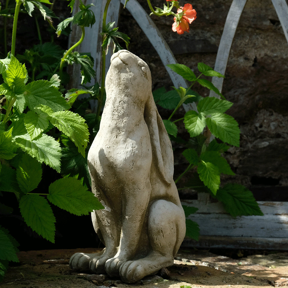 Moon Gazing Hare