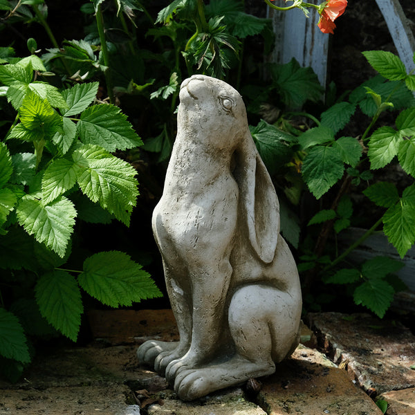 Moon Gazing Hare