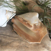 Polished Ridged Strombus Latissimus