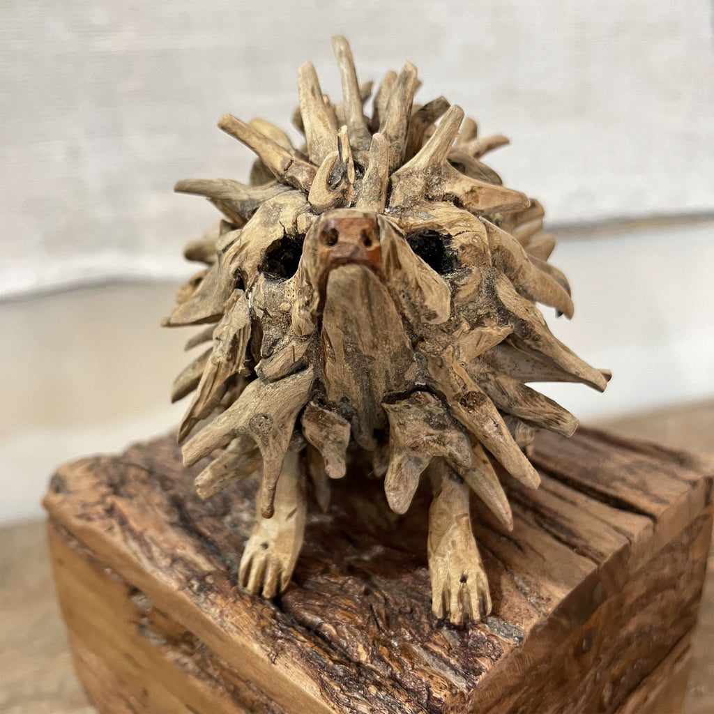 Mr Prickles Driftwood Sculpture