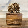 Mr Prickles Driftwood Sculpture