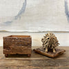 Mr Prickles Driftwood Sculpture