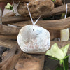 Placuna Shell