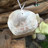 Placuna Shell