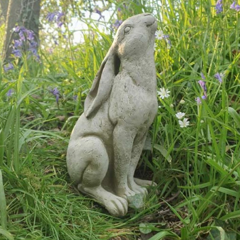 Moon Gazing Hare