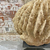 Antique Barrel Sponge A