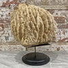 Antique Barrel Sponge A