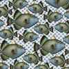 Blue Fish Gift Wrap