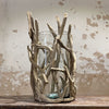 XL - Natural Driftwood Vase